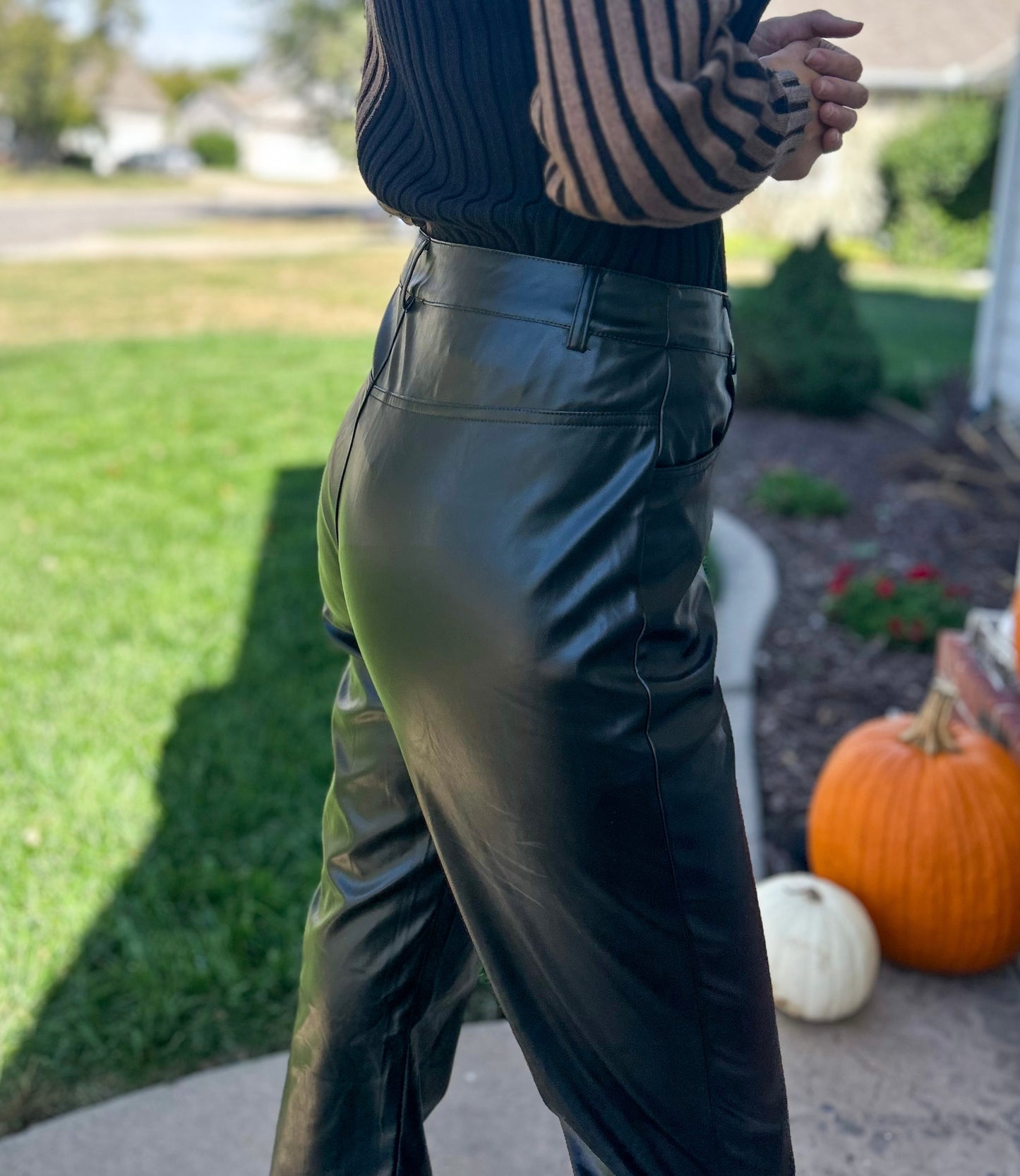 Andra Faux Leather Straight Leg Pants