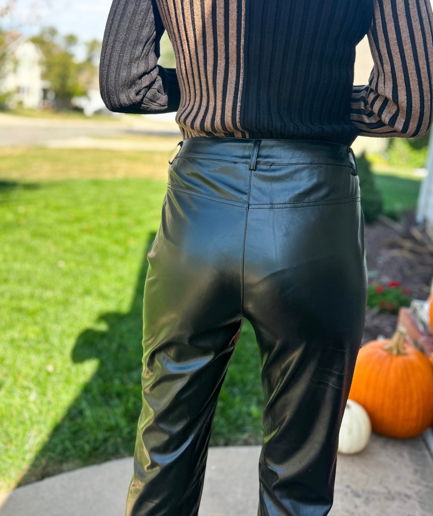 Andra Faux Leather Straight Leg Pants