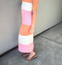 Adreana Color Block Knit Skirt