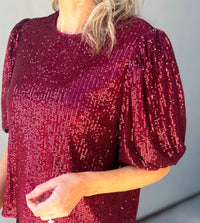 Beloved Puff Sleeve Sequin Top