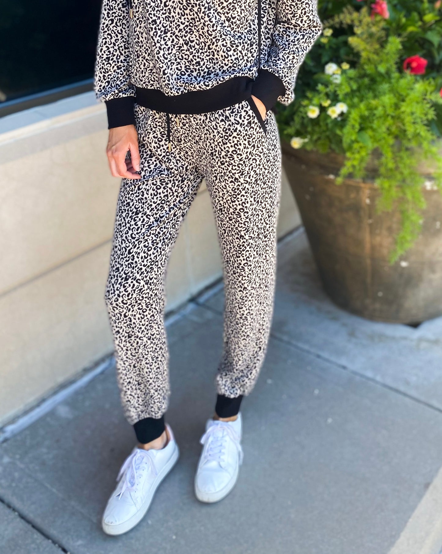 Camil Leopard Joggers