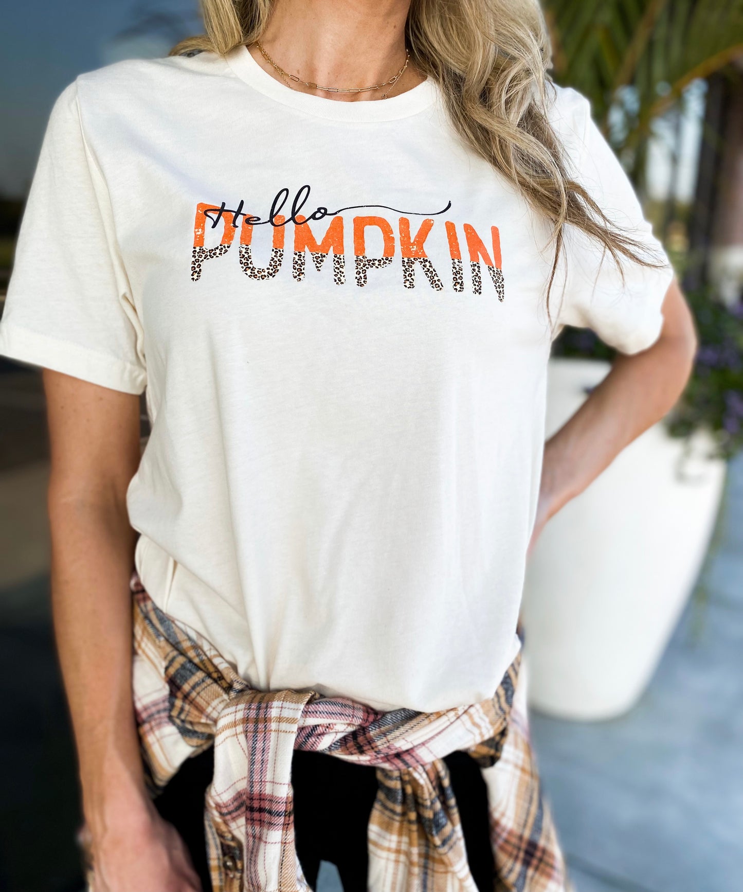 Hello Pumpkin Tee