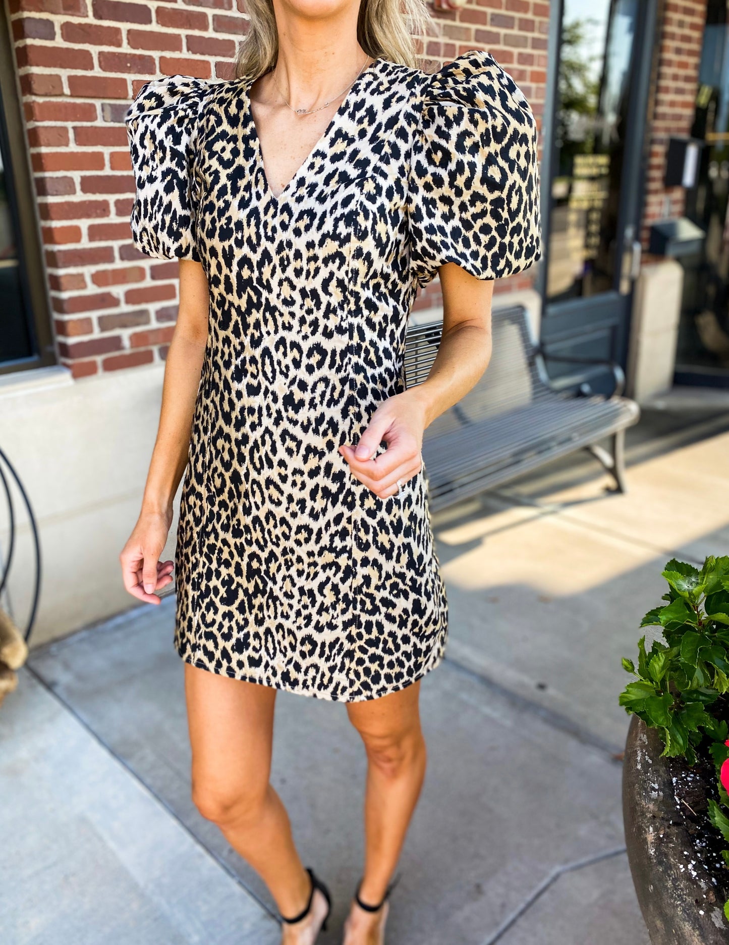 Most Wanted Leopard Dress
