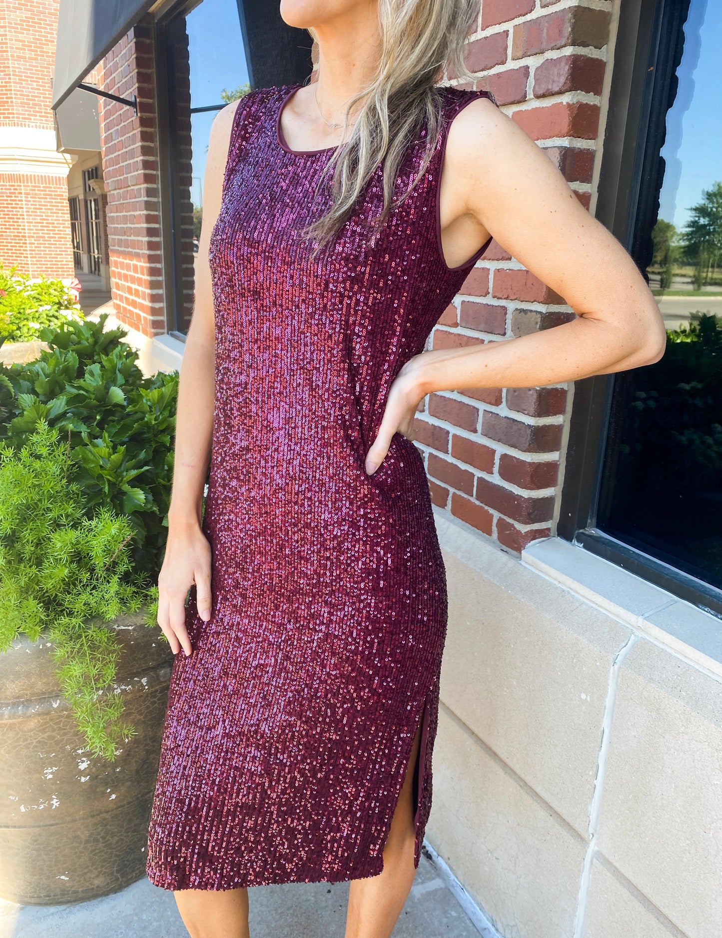 Eleanora Sequin Dress